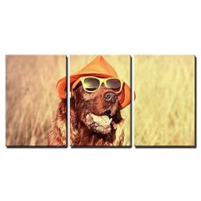 3 Piece Canvas Wall Art - Funny Retro Dog Wearing Sunglasses and Hat - Modern Home Art Stretched and Framed Ready to Hang - 16"x24"x3 Panels
