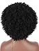 Kalyss Big Bouncy Full Thick Short Afro Kinky Curly Wigs for Women Lightweight Synthetic Hair Wigs 150% Density Natural Looking Fluffy Hair Replacement Wig