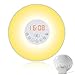 Sunrise Alarm Clock, LUNSY Wake Up Light, Sunrise Simulation Alarm Clock, LED Bedside Clock with Nature Sounds, FM Radio, Touch Control and USB Charger