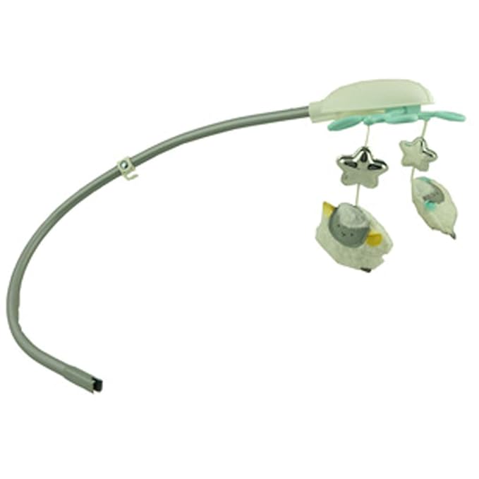 my little lamb bouncer