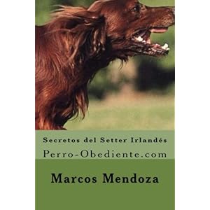 Secretos del Setter Irlandes: Perro-Obediente.com (Spanish Edition)