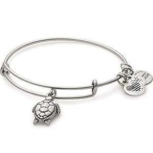 Alex and Ani Charity By Design Turtle Rafaelian Bangle Bracelet