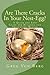 Are There Cracks In Your Nest-Egg?: A Quick And Easy Guide For Building And Preserving Wealth by Greg Von Berg