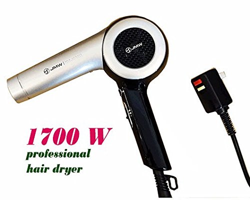 JMW ZEUS 1700W Professional Hair Dryer