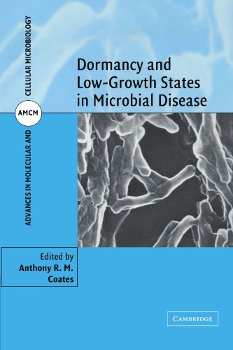 DORMANCY AND LOW GROWTH STATES IN MICROBIAL DISEASE
