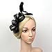 Vimans Women's Bow Feather Detachable Cocktail Party Veil Fascinator Hair Clip Hat