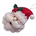 GMOEGEFT Handmade Felt Hanging Ornaments Christmas Tree Decorations Santa Claus Pendants Home Decor (Set of 10)
