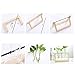 Takefuns Glass Planter Bulb Vase Desktop Hanging Glass Libra Water Planting Glass Vase Hydroponics Plants Office Desk Wedding Decor with Retro Wooden Stand (3 Bulb Vase)thumb 2