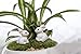 Smilesky Miniature Bunny Figure Animal Rabbit Toys Fairy Garden Party Decorations White 0.8 Inches 20 PCS