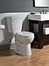 DELTA FAUCET Rubber Limited 79450-SS Linden Wall Mount Pivot Arm Toilet Paper Holder Bath Hardware Accessory in Stainless Steel