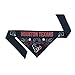 NFL Houston Texans Team Dog Bandana, Large, Blue