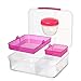 Sistema To Go Collection Bento Lunch Box, Medium, Clear/Pink Klips