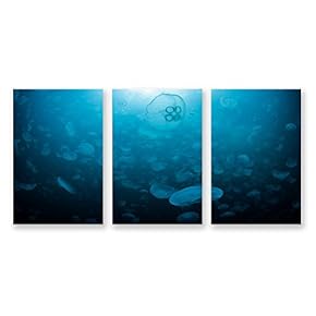3 Panel Canvas Wall Art Jellyfish in Deep Sea Pictures Home Wall Decorations for Bedroom Living Room Paintings Canvas Prints Framed - 16"x24" x 3 Panels