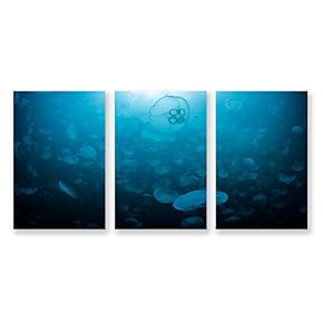 wall26 3 Panel Canvas Wall Art Jellyfish in...