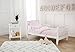 TL Care Minky Dot Chenille 4 Piece Toddler Bedding Set, Pink, for Boys and Girls