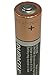 Duracell Duralock Copper Top Alkaline AA Batteries - 60 Pack