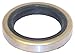 Sierra 18-2001 Oil Seal