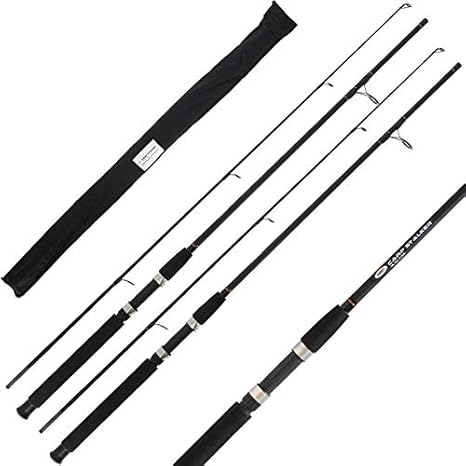 6ft carp rod