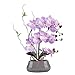 LIVILAN Romantic Lifelike Silk Orchid with Decorative Ceramic Vase,Large Vivid Artificial Flower Arrangement,Potted Orchid Plant,Lavender