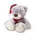 WILDREAM Christmas Plush Teddy Bear Stuffed Animals with Christmas Hat First Teddy Bear Plush for Boys Girls Soft Gifts for Thanksgiving Day/Birthday Christmas 10.8 Inches (Light Gary)