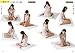 Daratto shita pose catalog だらっとしたポーズカタログ (relaxed natural poses) [POSE BOOK - JAPANESE EDITION]