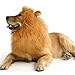 WAPIKE Lion Dog Mane, Turn Your Dog Into A Strong Lion, Big Pet Dog Lion Mane Wig, Tail, Festive Party Gorgeous Costume (Light Brown)