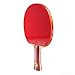 DHS Ping Pong Table Tennis Racket Paddle Bat 4 Star Shakehand Long Handle Double Pimples-in Bat 4002 with Landson Support