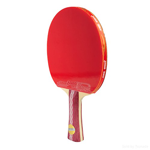 DHS Ping Pong Table Tennis Racket Paddle Bat 4 Star Shakehand Long Handle Double Pimples-in Bat 4002 with Landson Support
