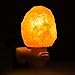 Himalayan Salt Lamp, Elfeland Mini Hand Carved Natural Crystal Salt Lamp Night Light Gift with Cordless Holder for Bedroom, Stair, Porch (Natural Shape)