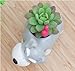 Cuteforyou Succulent Pots,Cute Cartoon Ceramic Succulent Cactus Flower Pot,Pencil Holders,Desk Accessories, Makeup Brush Storage Stand-Plant Not Included (Grey Schnauze)