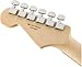 Fender Standard Stratocaster Electric Guitar - HSS - Pau Ferro Fingerboard, Black