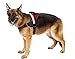 Big Dog Harness Soft Reflective No Pull Red Size M 20-26inch