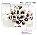 Angel Isabella 10pc Set Real Touch Calla Lily-Keepsake Artificial Flower Perfect for Cut to Make Boutonniere Corsage Bouquets (Picasso Plum)