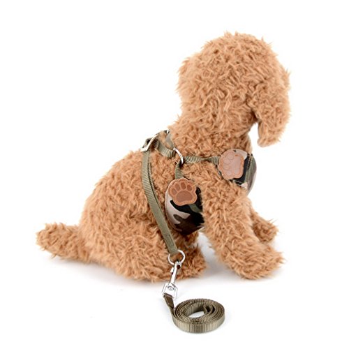 SMALLLEE_LUCKY_STORE Green Camo Camouflage Small Dog Cat Harness Leash Set Soft Mesh Padded,Adjustable Comfort Control Walking Harnesses,Size M