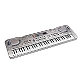 aPerfectLife Piano for Kids, Multi-Function 61 Keys Electronic Organ Kids Piano Musical Teaching Keyboard Toy for Kids Children (Silver)