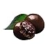 DOVE Fruit Dark Chocolate With Real Cherries 17-Ounce Pouch