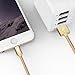 Miger Fast Charge Cable 4Pack 1Ft/3Ft/6Ft/10Ft Nylon Braided MFi Certified - 8 pins Connector Cables Compatible with iPhone X / 8/8 Plus / 7/7 Plus / 6 / 6s Plus / 5s / 5, iPad Mini / 4/3 (Gold)