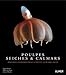 Poulpes, seiches et calmars (French Edition) by 
