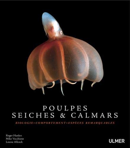 Poulpes, seiches et calmars (French Edition) by Roger Hanlon, Mike Vecchione, Louise Allcock