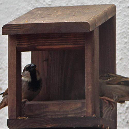 Bird Feeder Amazon Co Uk Handmade