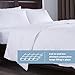 puredown® Lightweight Goose Feather Down Comforter Queen Size, White Duvet Insert Full for Warm Weather/Hot Sleeper(White, 88 * 88