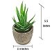 Artificial Succulents Plants,Fake Potted Cactus Faux Cacti Green for Home Indoor Decoration Set of 5