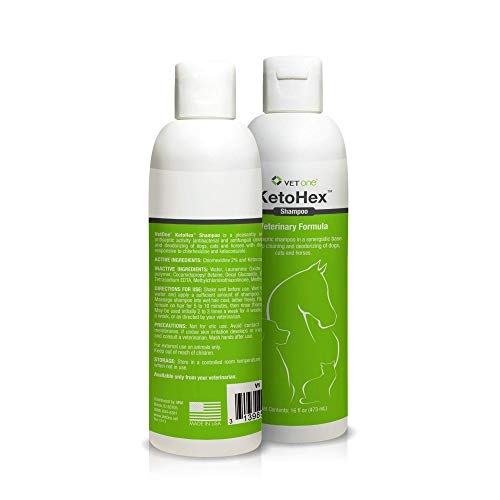 vetone - KetoHex Antifungal & Antibacterial Veterinary Formulated Shampoo for Dogs, Cats, Horses, 16 - //medicalbooks.filipinodoctors.org