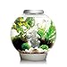 biOrb CLASSIC 30 Aquarium with LED - 8 gallon, Silver