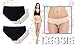 LESSIE Women's Seamless Underwear Microfiber Briefs 4 Pack (Medium)