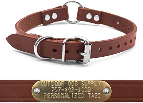 leather dog collars with name plates