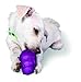 PetSafe Premier Squirrel Dude Dog Toy, Small