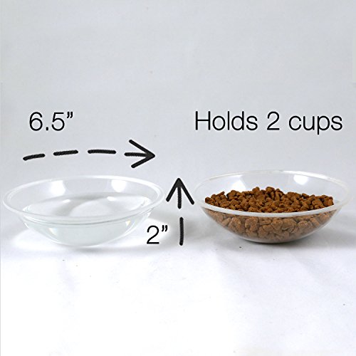 Elevated Dog Cat Feeder By Fox Fern 4 Raised Pet Bowls