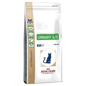 Royal Canin Urinary S/O – Comida para gatos, Veterinary Diet, 7 Kg