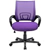 BOSSIN Office Desk Chair Mesh Ergonomic Computer Chair with Lumbar Support Modern Executive Adjustable Chair Rolling…